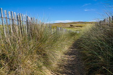 Chemin menant &agrave; une plage de la C&ocirc;te Sauvage sur la presqu'&icirc;le de Quiberon