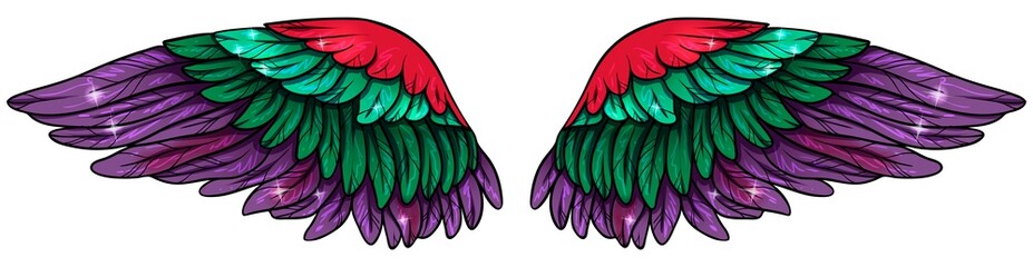 Beautiful bright glowing purple green red wings, vector