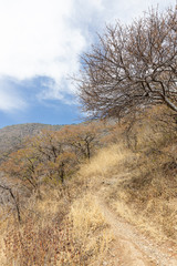 Hiking Trail in the San Juan Cosala Range in Central Mexico.