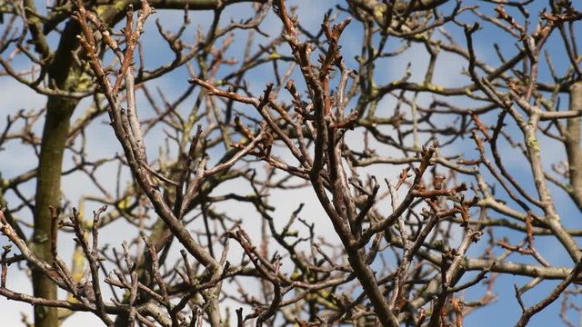Sunny impressions from the surroundings of Tempelhof Airport in Berlin (Closed on October 30, 2008) of March 5, 2020, Germany