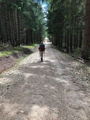 Obraz premium woman walking in forest