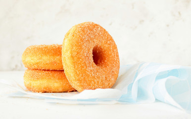 Donuts with cinnamon sugar on a light background with space for text.