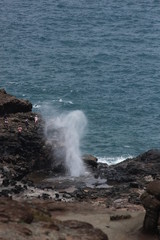 Hawaii blowhole 