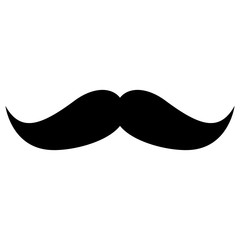 Fototapeta premium Isolated mustache image