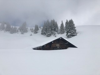 Chalet d'alpage sous la neige