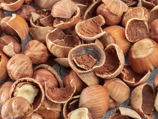 Hazelnuts lie on light wooden boards.Useful hazelnut for health.