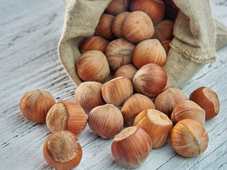 Hazelnuts lie on light wooden boards.Useful hazelnut for health.