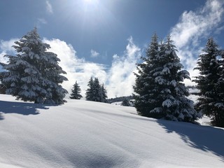 Neige fraîche dans les Alpes