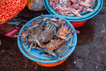 The famous Sassoon Docks Fish Market in Mumbai, India. Close up on a pile crabs on sale in a plastic basket. Selective focus, blurred background.