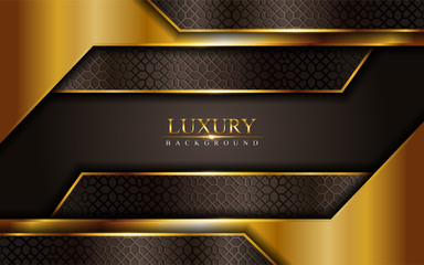 Luxury brown background with golden lines. Modern vector illustration