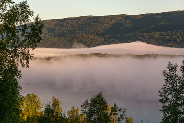 Obraz na płótnie Canvas Fog over the coniferous forest. Photo taken at midnight, midnight sun.