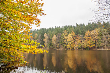 Seashore and reflections from the autumn colored forest in the water, picture from Northern Sweden.