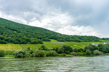Germany, Rhine Romantic Cruise, a large green landscape with a body of water