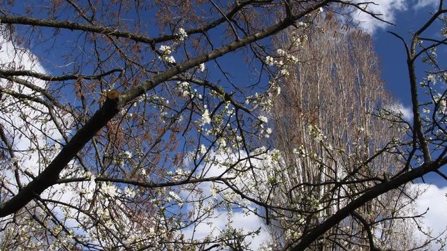 Sunny impressions from the surroundings of Tempelhof Airport in Berlin (Closed on October 30, 2008) of March 5, 2020, Germany