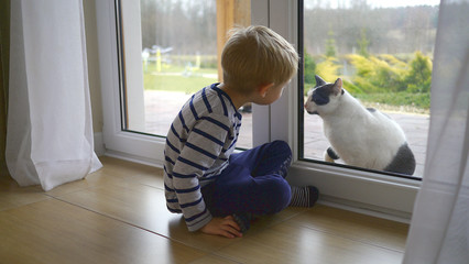 Chłopiec siedzi w domu i patrzy przez okno na kota. Spotkanie ze zwierzakiem, chłopiec i kot, zabawa ze zwierzakiem. - obrazy, fototapety, plakaty