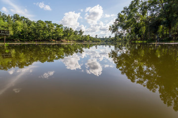 Fototapeta na wymiar Reflection on the muddy water, Madhabpur Lake, Srimongal, Bangladesh 