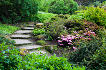 Botanic garden in Scotland -  alpine plants.