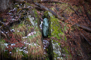 Natural texture. Beautiful background. Forest landscape. Stone stuck in the ground.