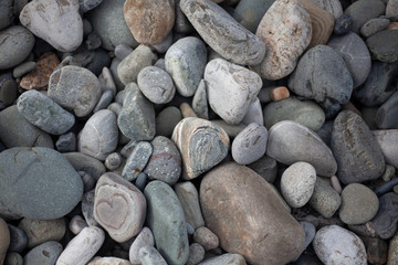 Texture pebbles. Large stones. Beautiful background. Coast. Beautiful gray beach.
