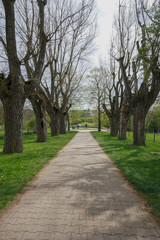 Fototapeta premium Natur