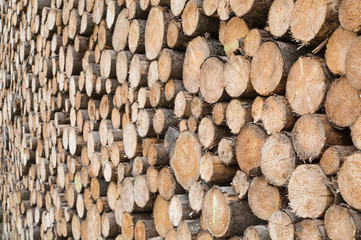 Woodpile_Texture