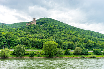 Fototapeta na wymiar Germany, Rhine Romantic Cruise, a lush green field next to a body of water