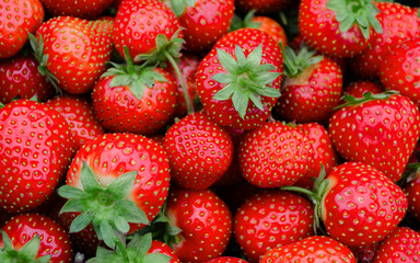 strawberry berry red, ripe, tasty, sweet, in bulk, vegetarian food,