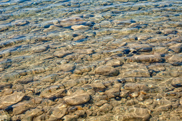 Sea urchin in clear water, Halkidiki, Greece.