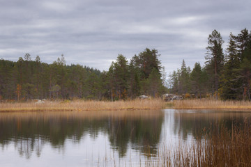 A calm lake surface near Forsaleden Waterfalls