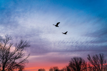 Beautiful Sunrise in Plainsboro New Jersey