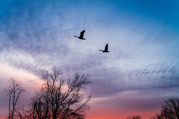 Beautiful Sunrise in Plainsboro New Jersey