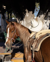 Cowboy hats resting on a wooden Mexican saddle.