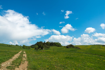 Road in green field and blue sky