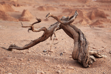 Fototapeta premium Red cliffs of Khermen Tsav canyon