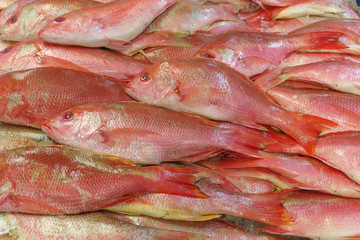 Rock fish for sale in Southern California. Sometimes sold as red snapper.