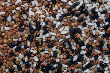 A mix of different seeds