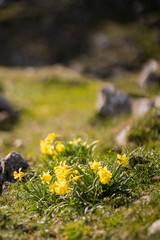 caminata por el pais vasco