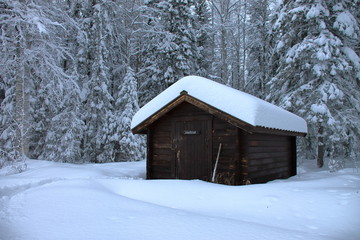Wooden hut in the swedish forest