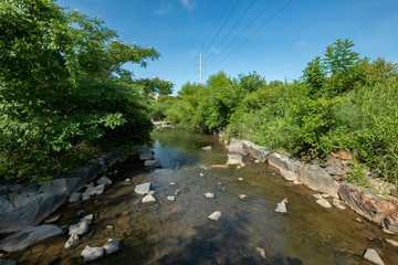 Fototapeta na wymiar Little Sugar Creek along the Greenway, Charlotte, NC