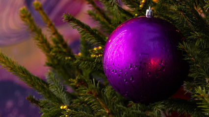 Purple ball on the Christmas tree. Christmas decorations. New year's toys on the lush, evergreen branches of the conifers. Water drops on the ball due to snow and rain. 