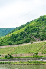 Germany, Rhine Romantic Cruise, a river running through a body of water