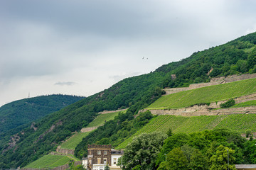 Germany, Rhine Romantic Cruise, a close up of a hillside next to a body of water