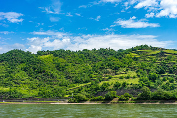 Fototapeta premium Germany, Rhine Romantic Cruise, a large green landscape with a body of water