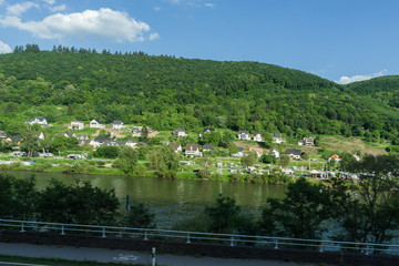 Germany, Hiking Frankfurt Outskirts, a herd of sheep grazing on a lush green field