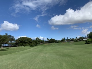 Paradise Golf in Wailea, Maui
