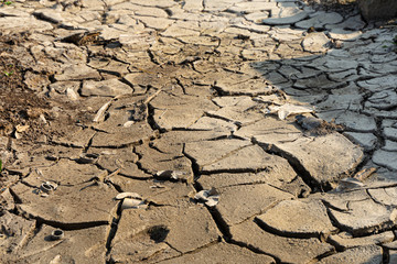landscape view of cracked land