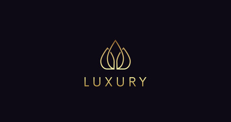 Simple Luxury logo sign vector design. Elegant crown logotype icon.