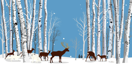 animals in the birch forest