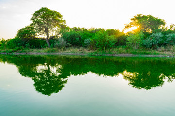 Atardecer al Costado de Laguna en el campo