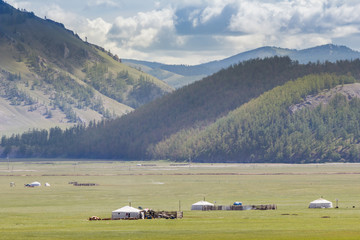 Yurt camp in the steppe, grasslands and mountains under sunny spell